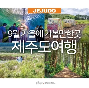 제주 가볼만한곳 맛집 카페 추천 겨울 현지인 코스_3