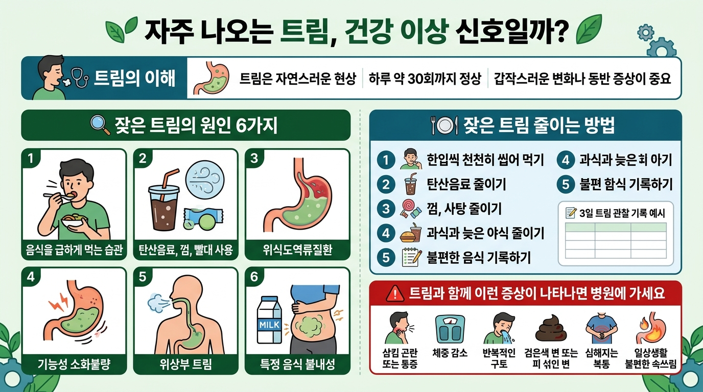 트림이자주나오는이유