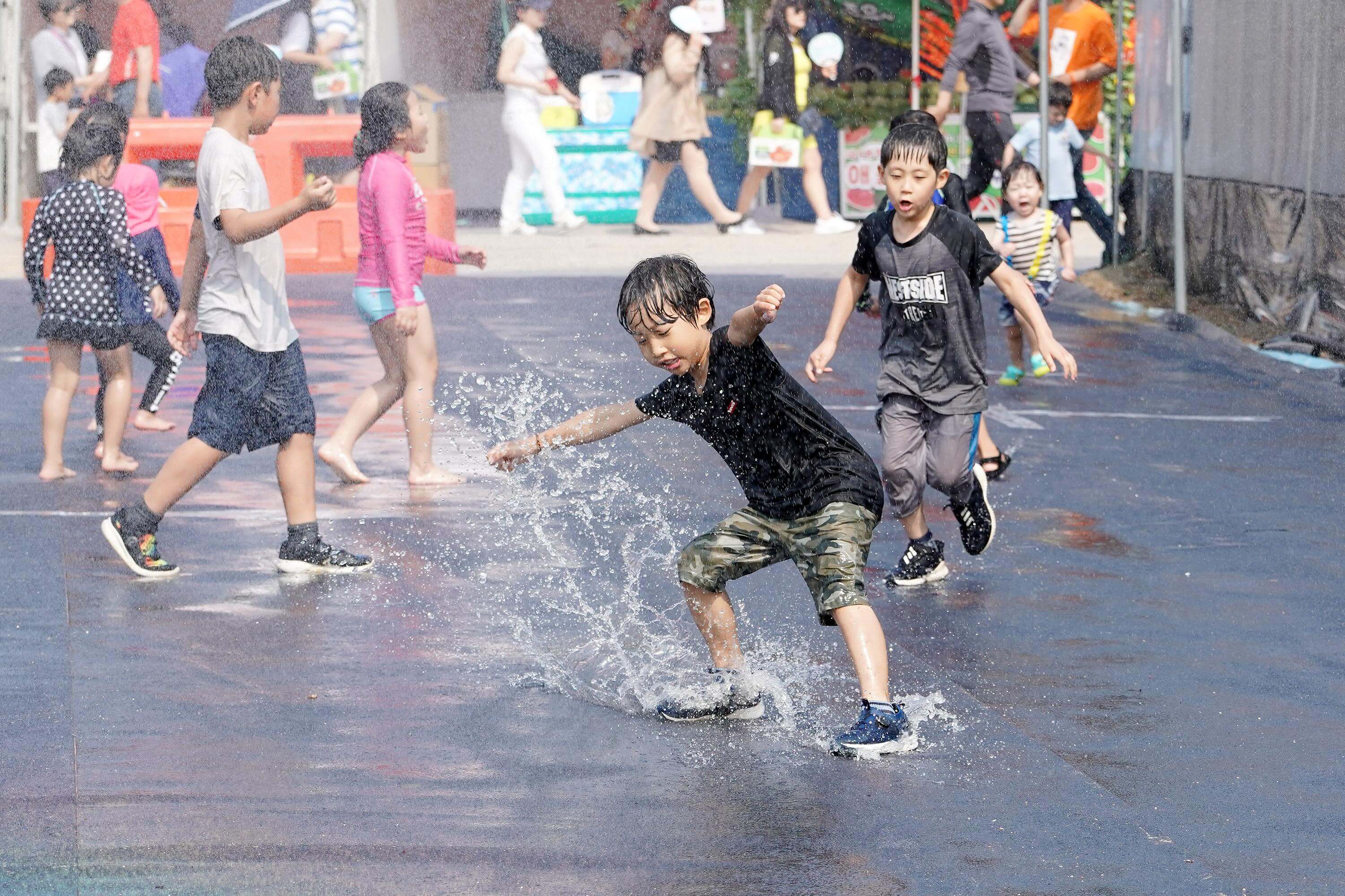 퇴촌 토마토축제