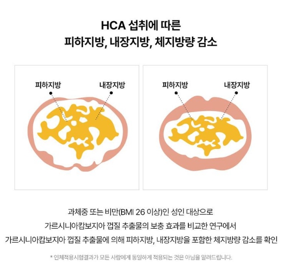 푸드올로지 파란통 맨올로지 컷 이미지