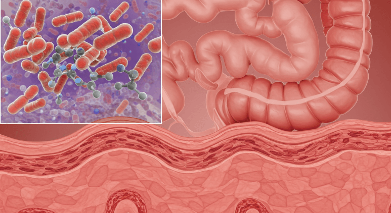 다이어트의 적 탄수화물 피하다 암 걸릴 확률 높아진다?