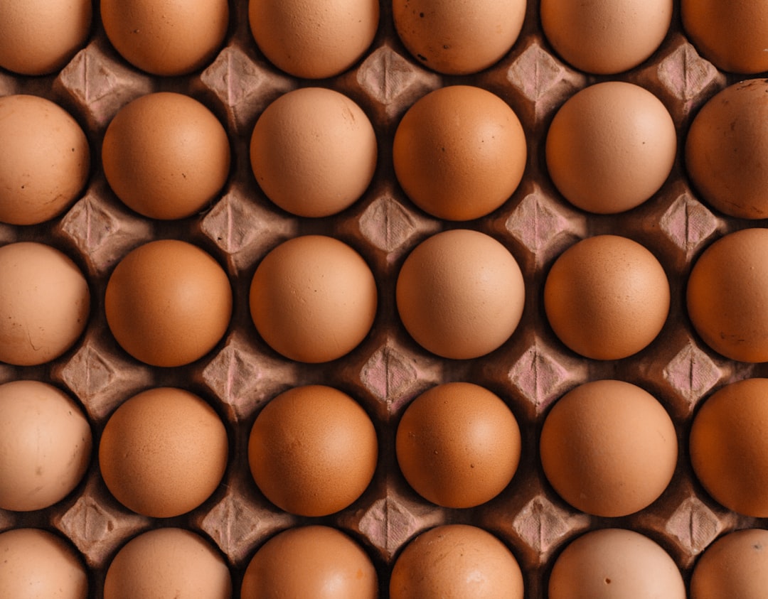Protein
