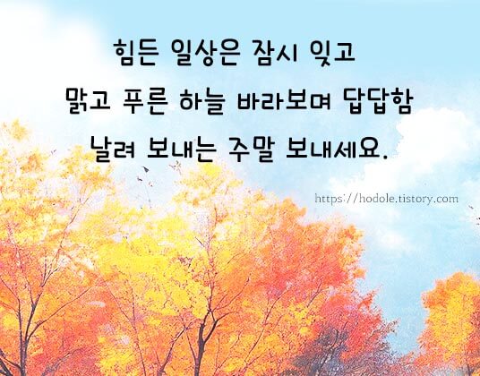 가을 안부인사 이미지