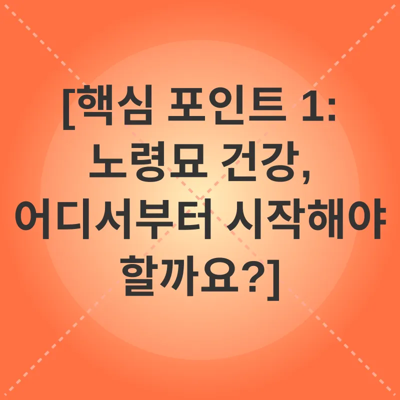 노령묘 건강관리_1