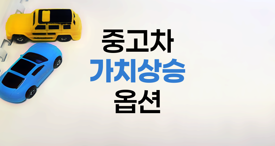 중고차 가치 상승 핵심 옵션 분석