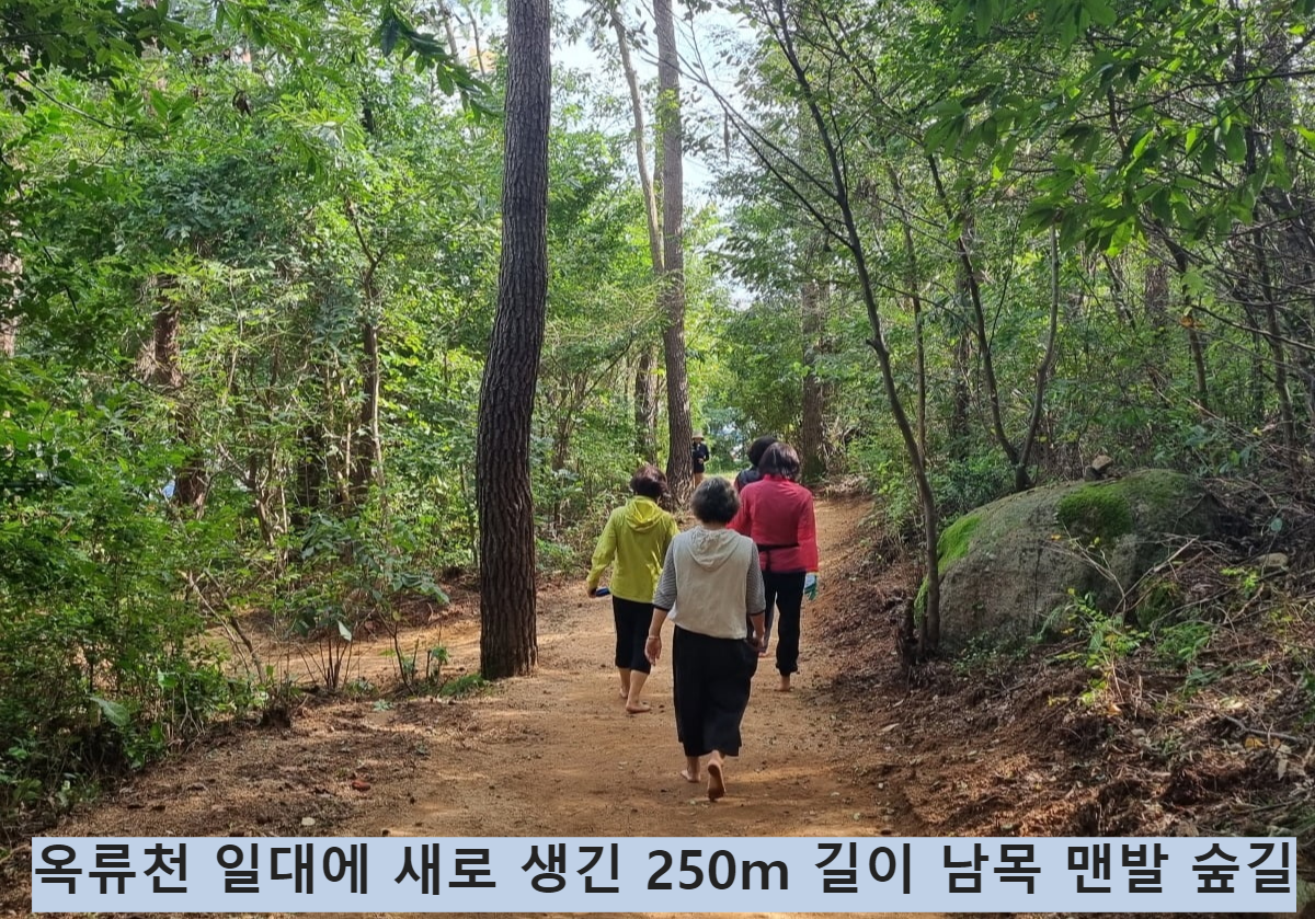울산 동구 옥류천 일대에 새로 생긴 250ｍ 길이 남목 맨발 숲길