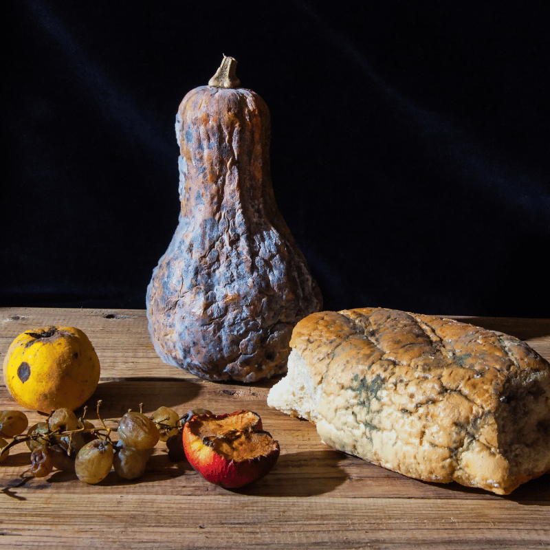 장염증상 먹어도되는 음식