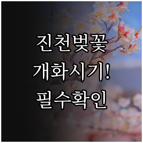 2026년 진천 벚꽃 개화 시기 및 ..