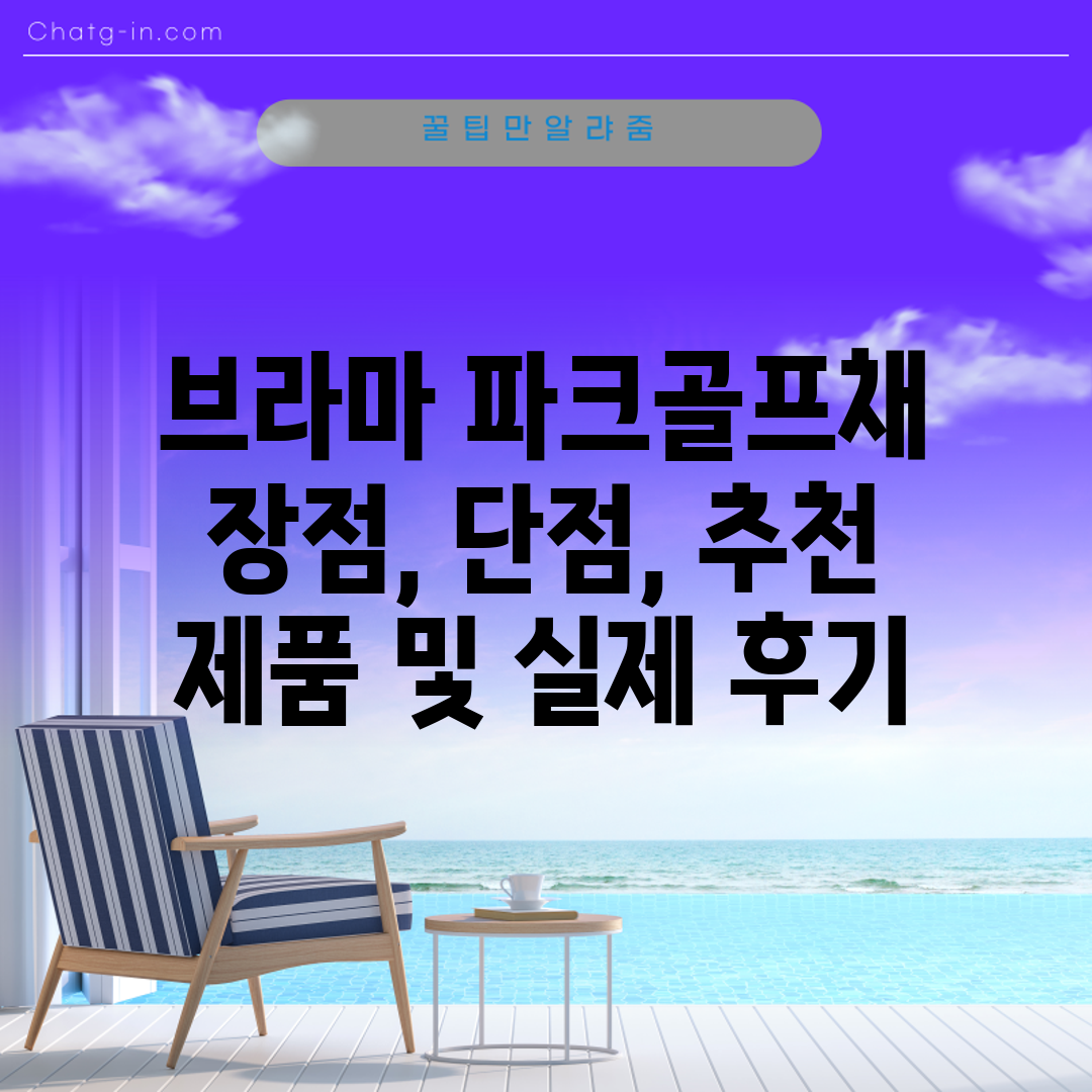 브라마 파크골프채 장점, 단점, 추천 제품 및 실제 후