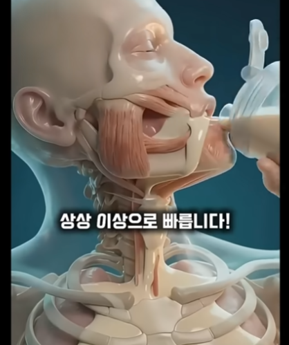 AI 쇼츠 해부학