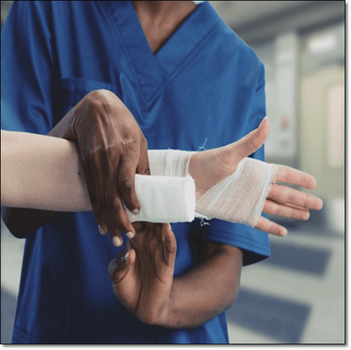 쇠뜨기 상처 치유 속성