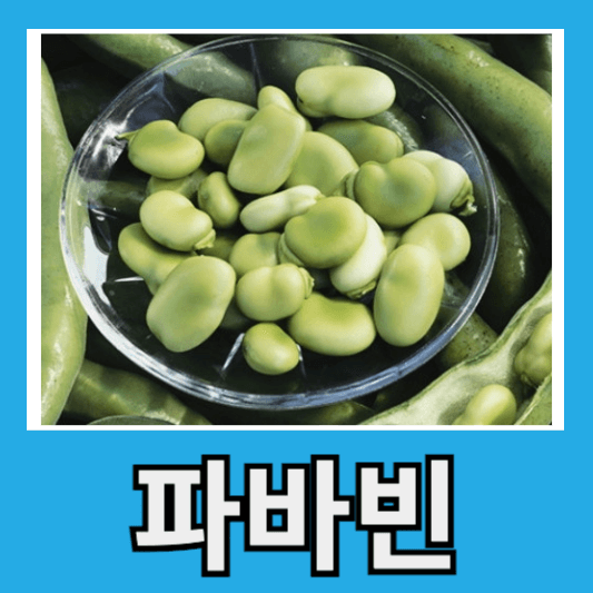 파바빈 효능 먹는법 주의사항 최저가 알아보기