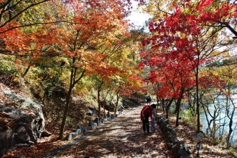 6시 내고향에 나온 함안 강변횟집&amp;#44; 정말 맛있을까?