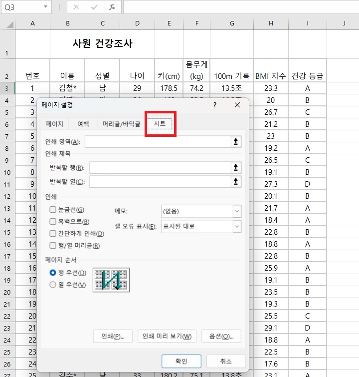 페이지 설정창에서 시트탭 보임