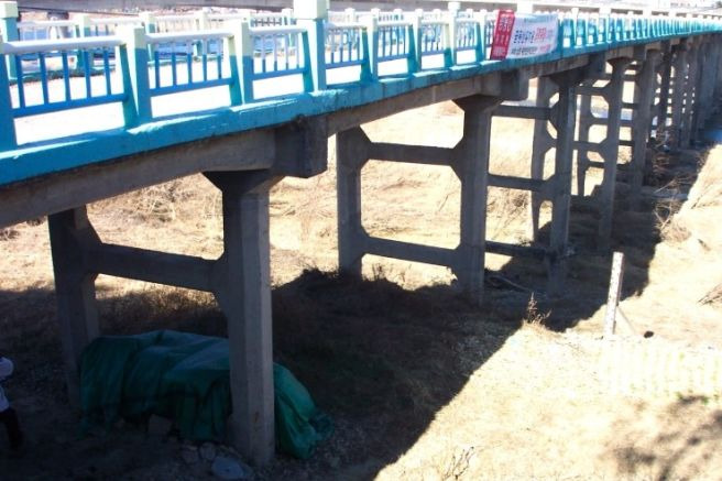 울산 삼호교 역사