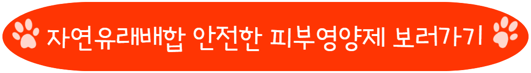 자연유래배합 안전한 피부영양제