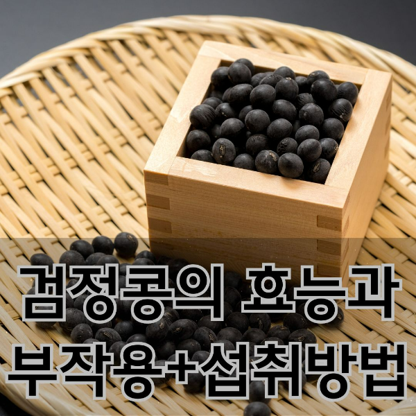 검정콩 효능 부작용