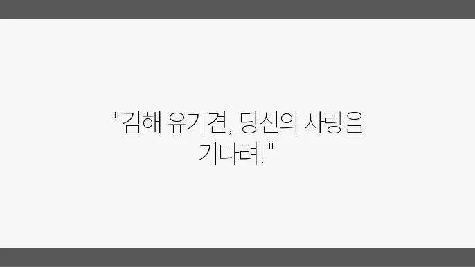 유기견보호소 건강한 아이들 김해유기견보호소