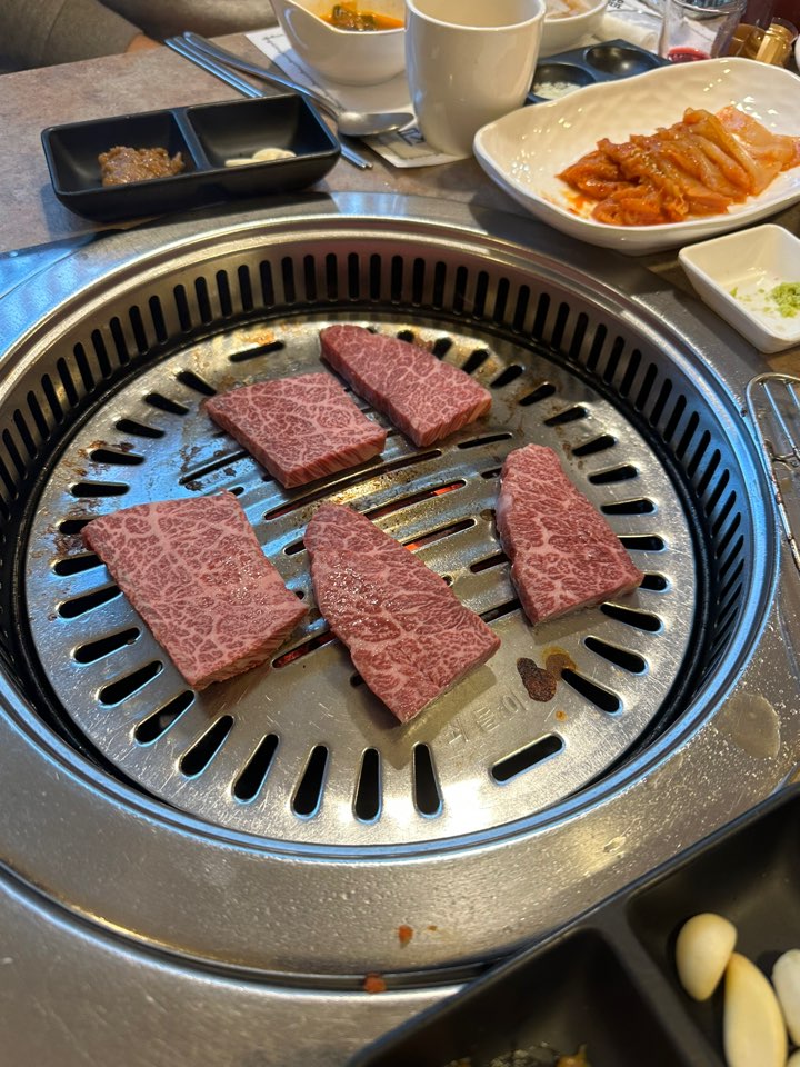 한우 사진