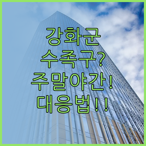 강화군 소아과 주말 야간 진료 정보 ..