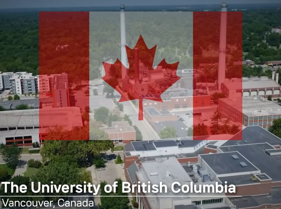 발기부전치료제, 발기부전치료