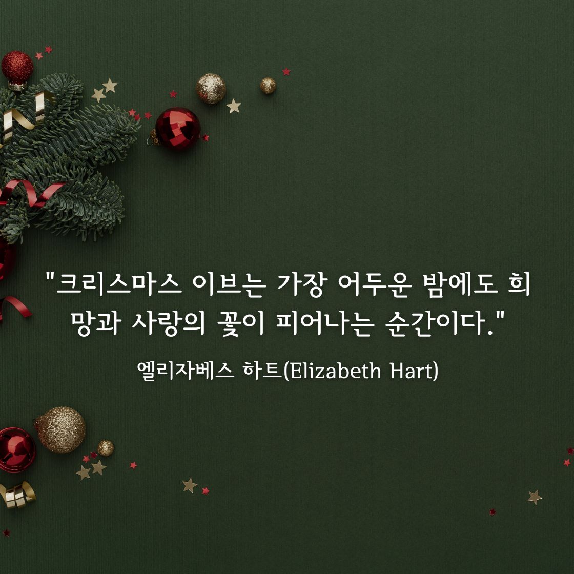 크리스마스 이브, 피어나는 희망의 꽃