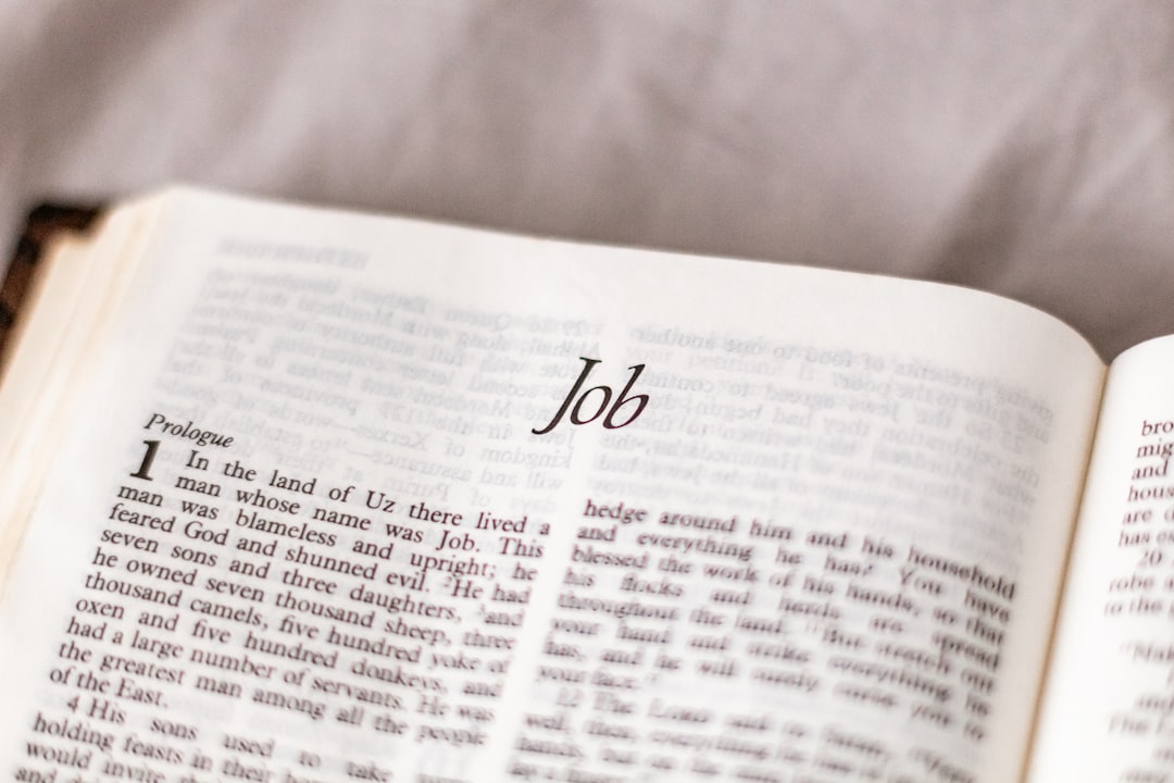 Job — 구인구직의 핵심인 '일직업'을 가장 직관적으로 담는 영어 단어입니다.