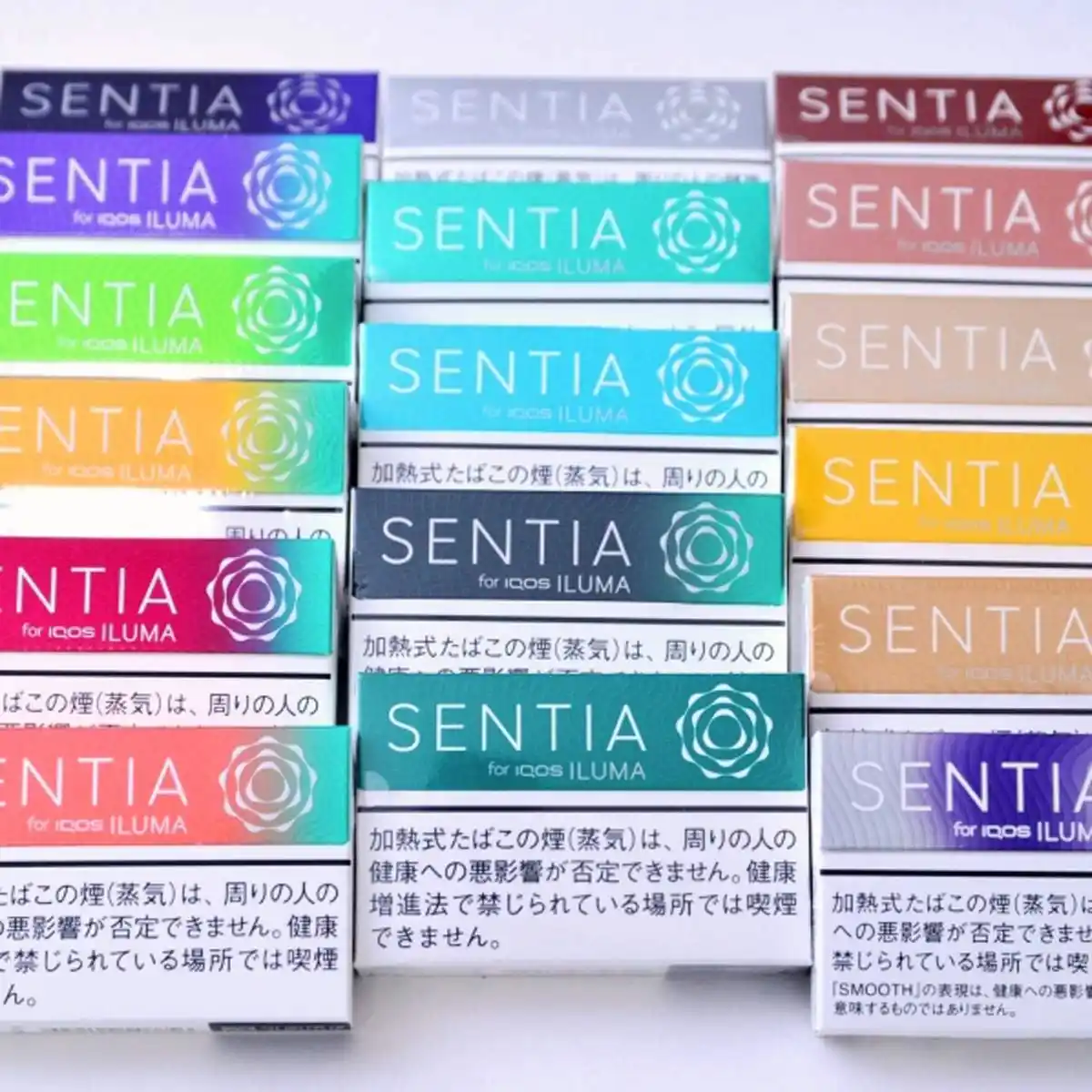 아이코스(IQOS) 센티아(SENTIA) 인기 맛 5선