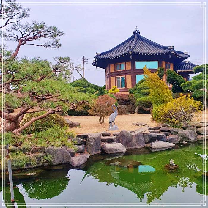 생방송오늘저녁 대한민국 보물 정원 추천 전남 보성 매화, 사슴 농원, 과수원 체험 추천 여행 가볼만한 곳
