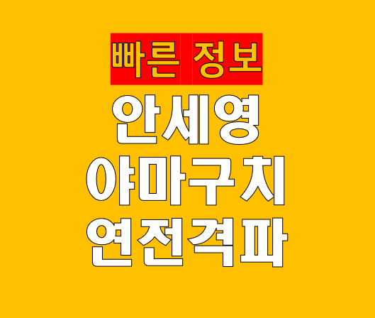 안세영 왕중왕전 4강 진출 야마구치 아카네 격파 47분 역전승