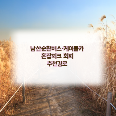 남산순환버스&middot;케이블카 혼잡피크 회피 추천경로