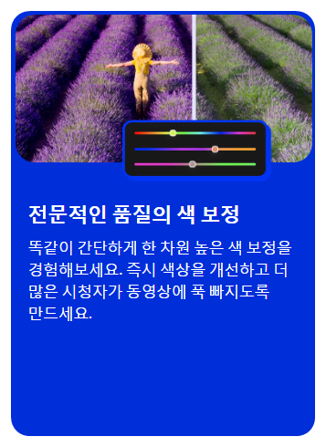 전문적인 품질의 색 보정