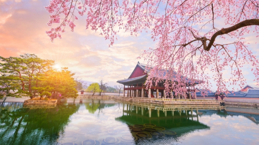 2025년 4월 국내 여행지 추천! 봄꽃과 함께 떠나는 최고의 여행지