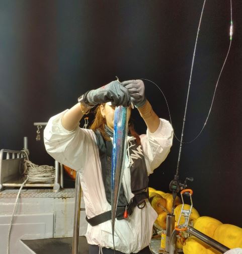 태안 야간 외줄 갈치낚시