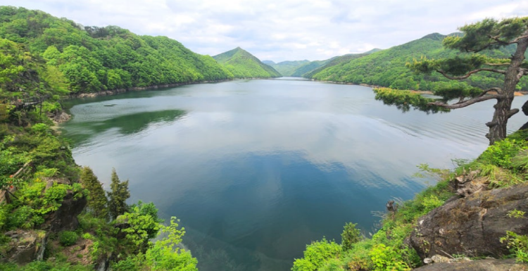 옥천 수생식물학습원