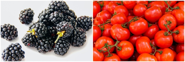 블랙베리와 토마토 사진입니다.