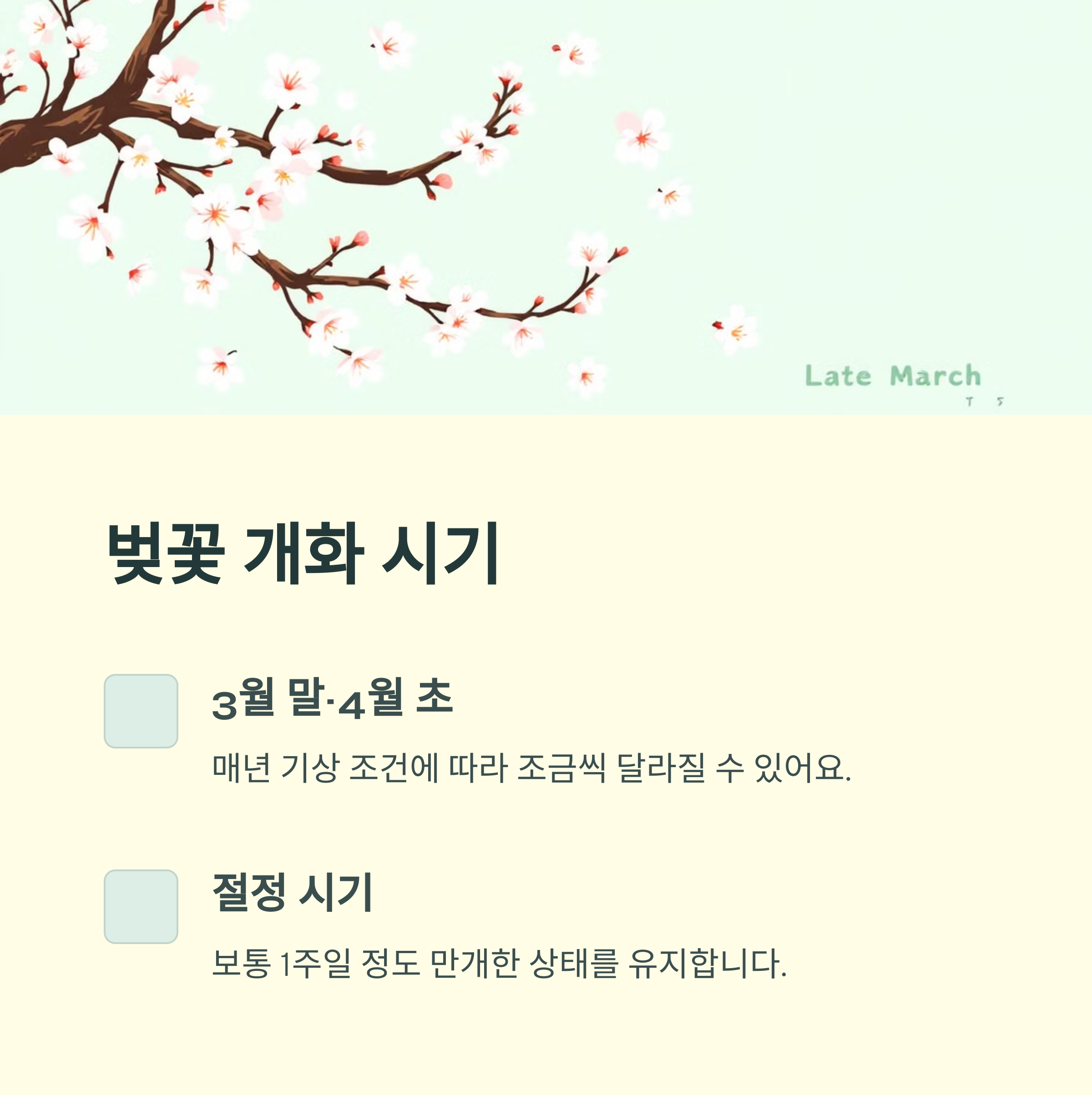 성남 분당의 봄, 벚꽃 명소 걷기 코스 완벽 추천!