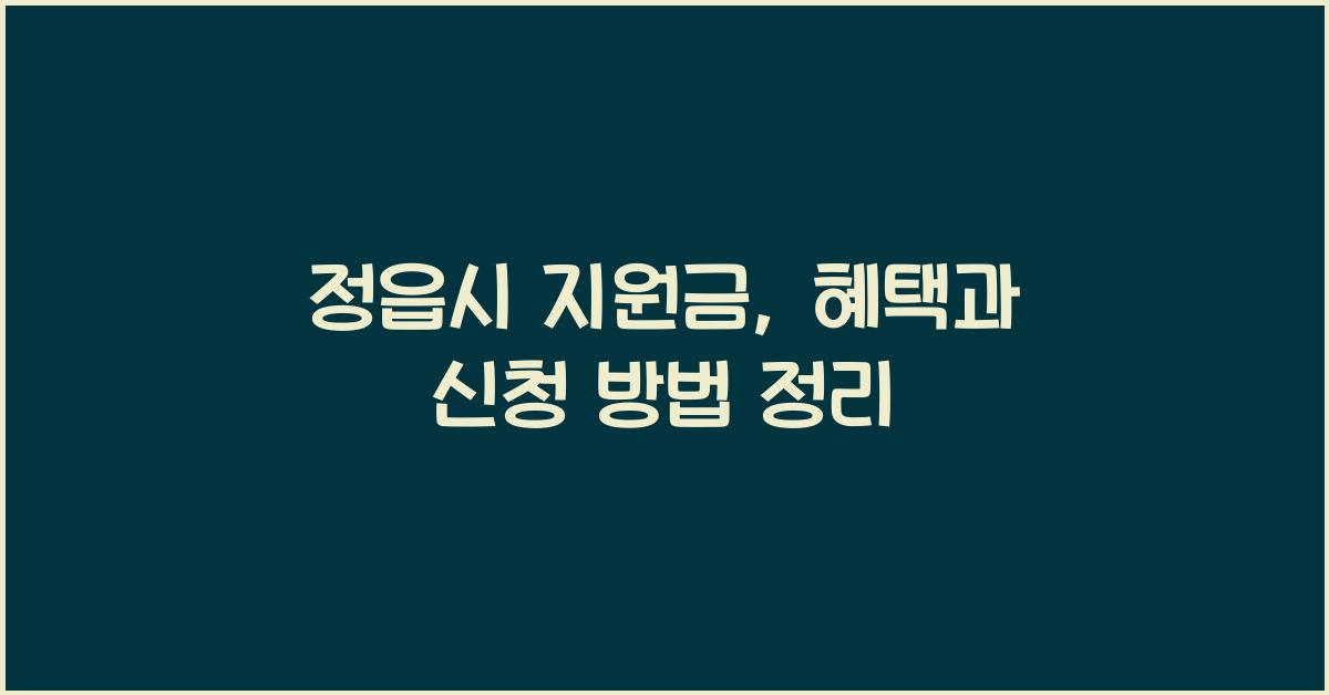 정읍시 지원금