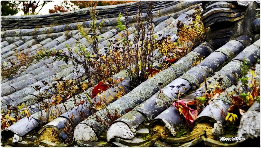 고가(古家)의 지붕