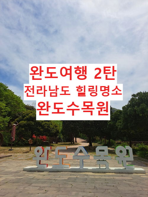 완도여행 ② 완도수목원 싱그러움이 가득한 힐링명소 2025 완도 장보고 수산물 축제와 함께 즐기는 완도 여행!