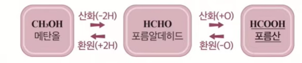 메탄올 산화 도식화