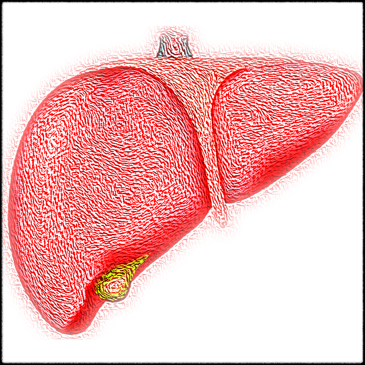 간이 보내는 위험신호