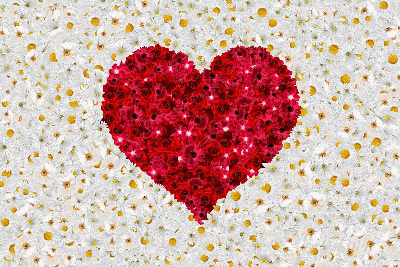 1억 은행 예금이자