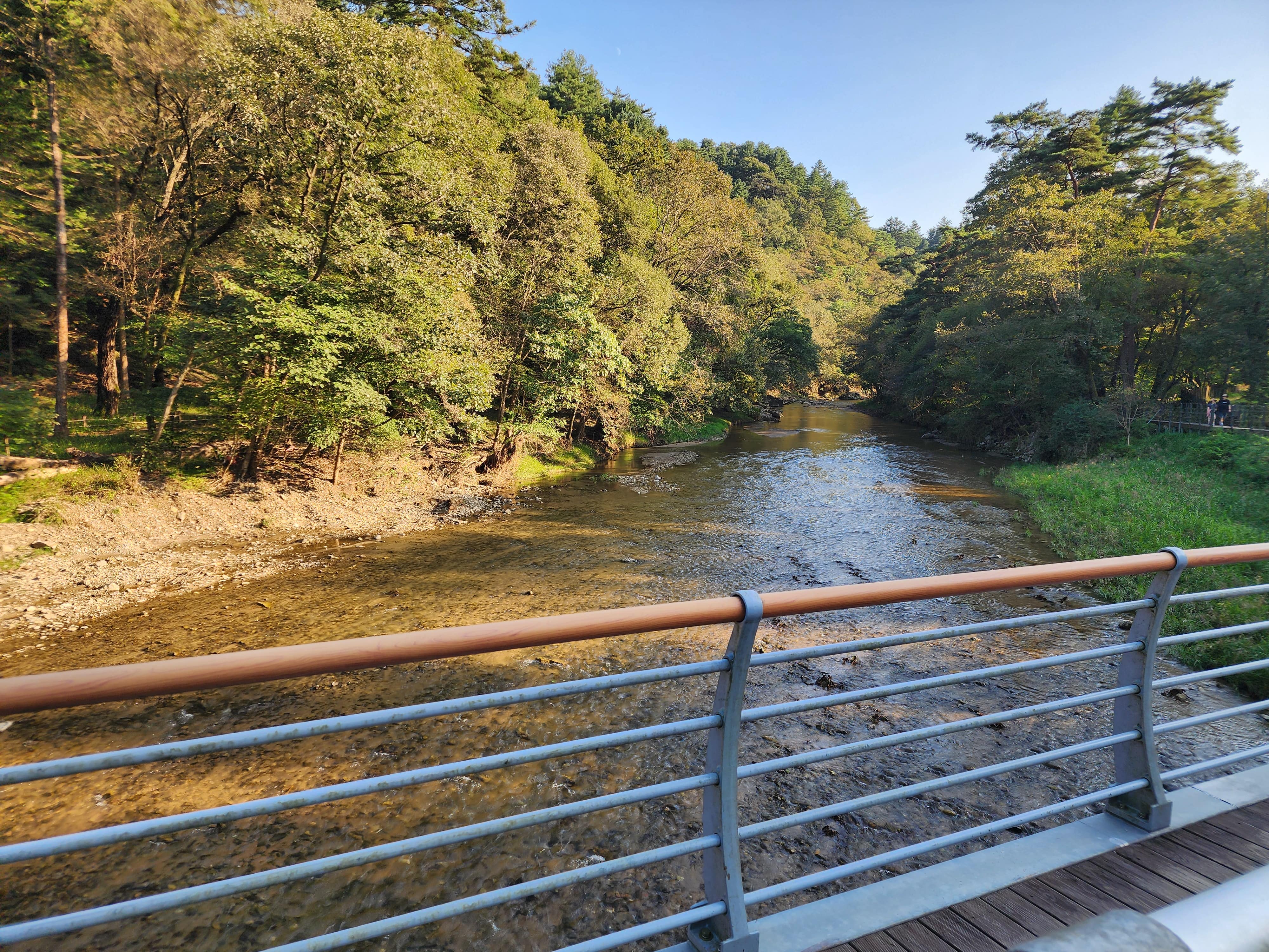 국립수목원 이미지