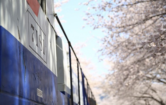 진해 가볼만한곳 베스트10