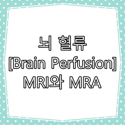 뇌 혈류 MRI (Perfusion MRI)와 MRA