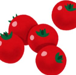 토마토 혈관반응 - 맛있는 토마토