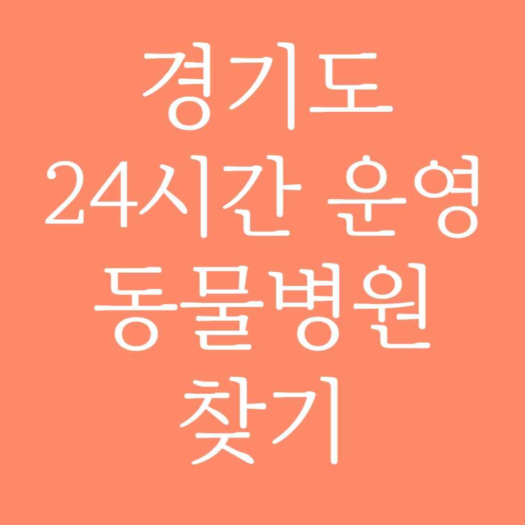 경기도 24시간 운영 동물병원 찾기