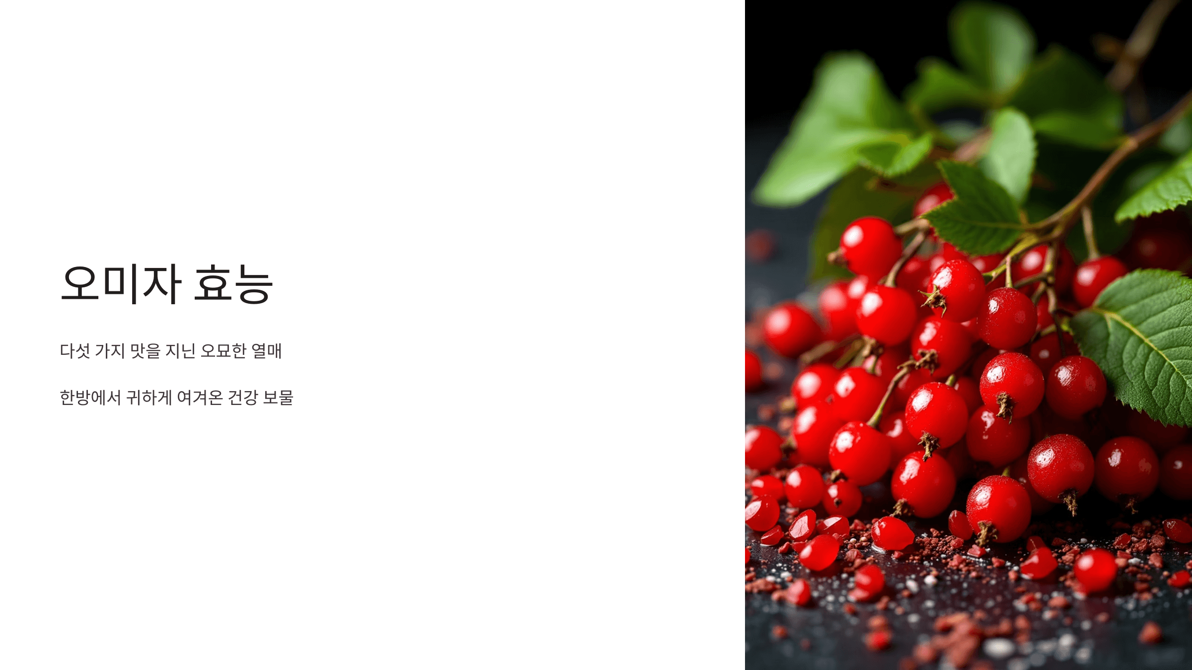 오미자 사진입니다.