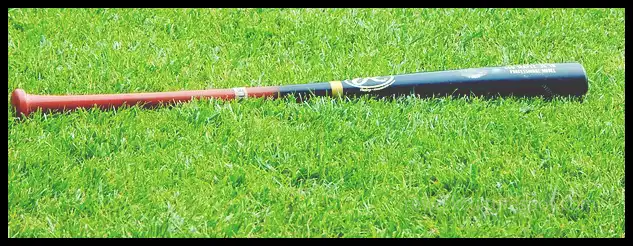 2024 WBSC 야구 프리미어 12 대표팀 명단 (28명 최종 확정)